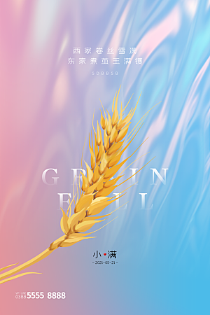 小满节气简约大气海报