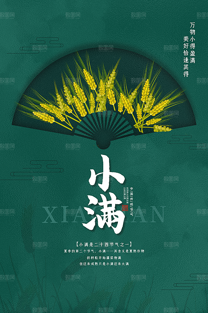 小满节气简约大气海报