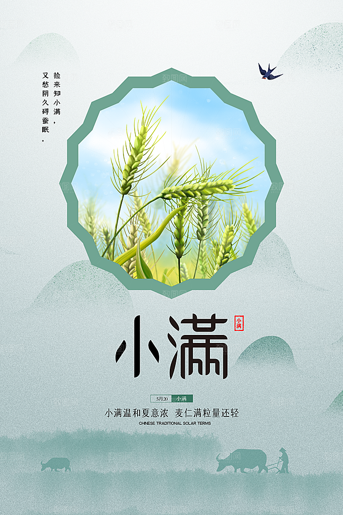 小满节气简约大气海报