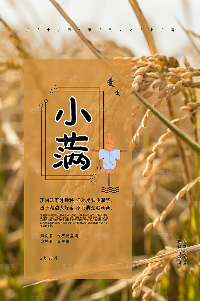 小满节气简约大气海报
