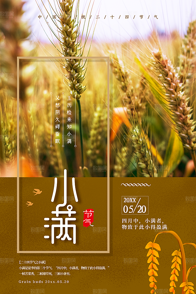 小满节气简约大气海报