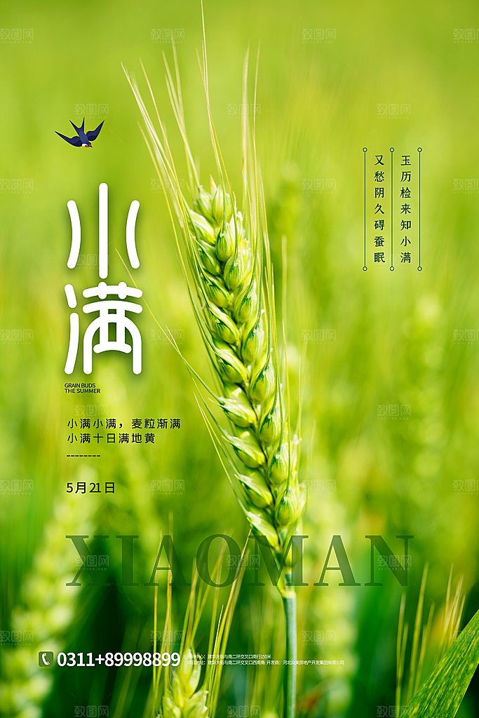 传统节气小满海报模版