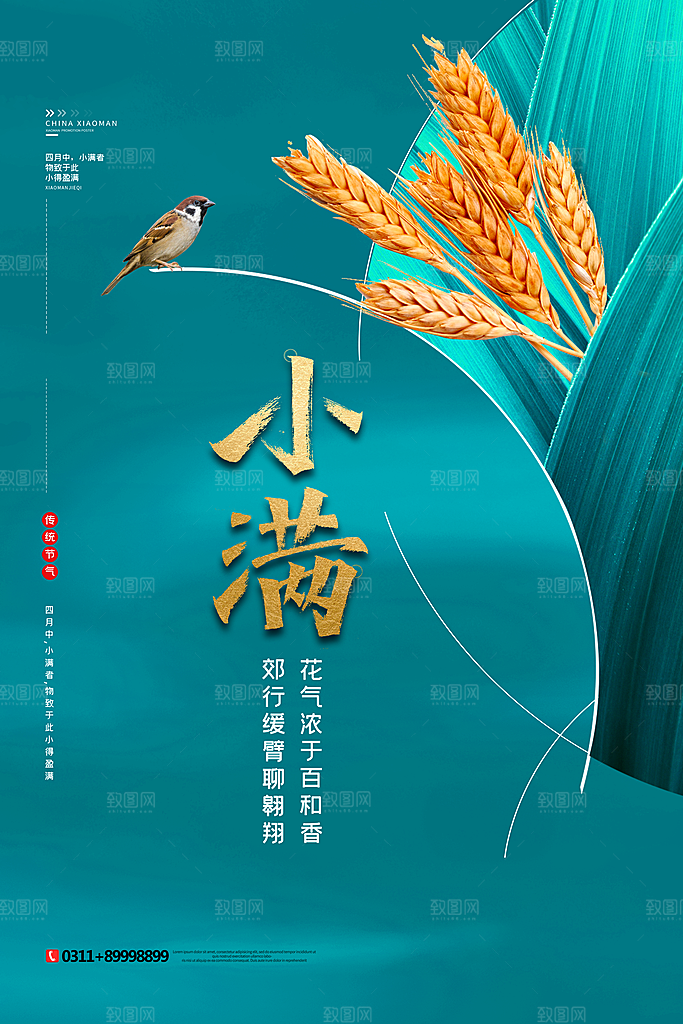 传统节气小满海报模版