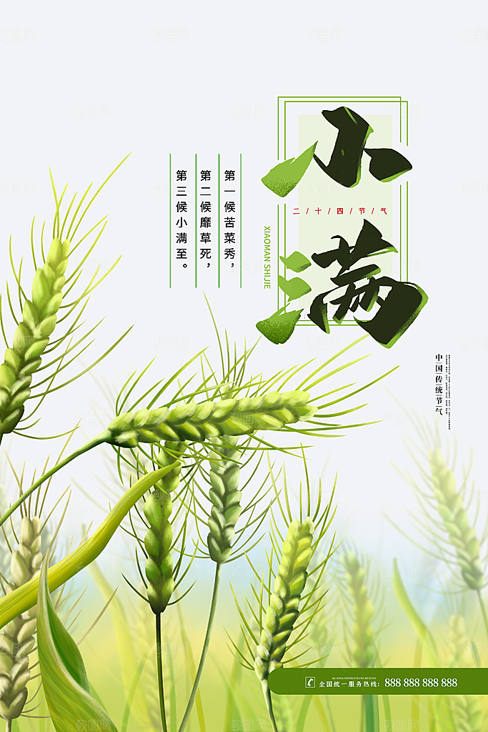 传统节气小满海报模版