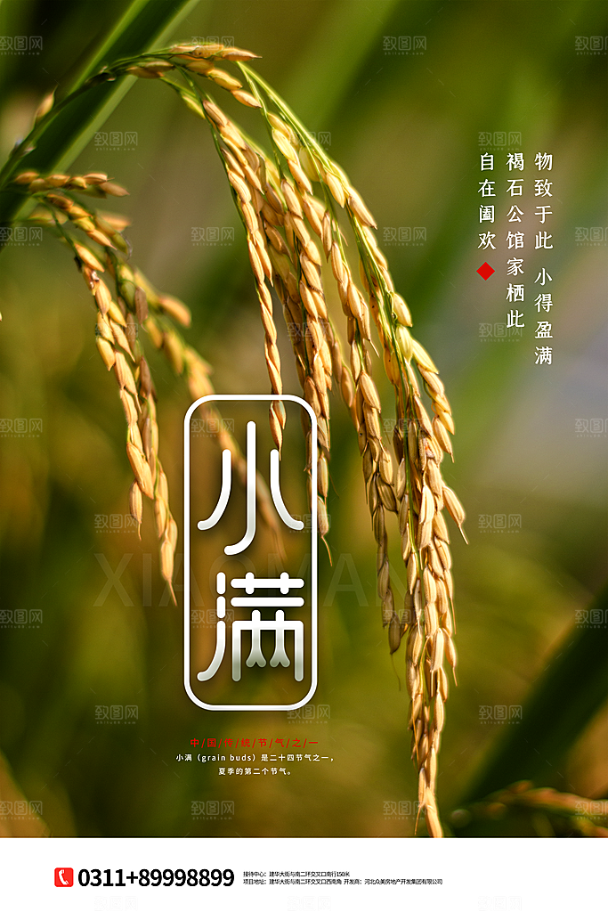传统节气小满海报模版