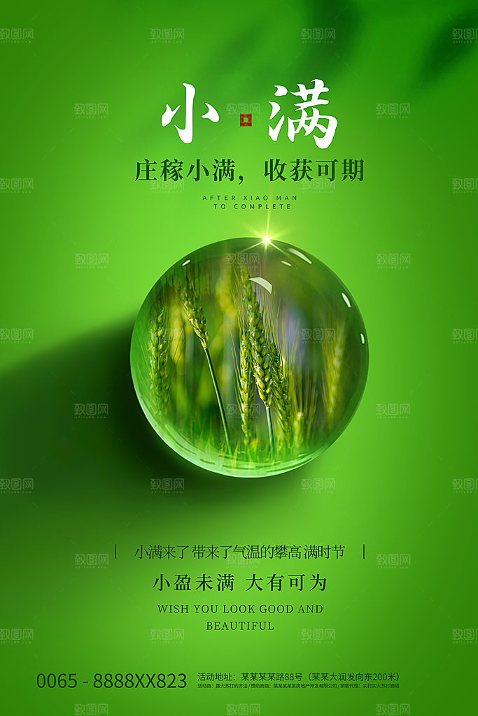 小满节气简约大气海报