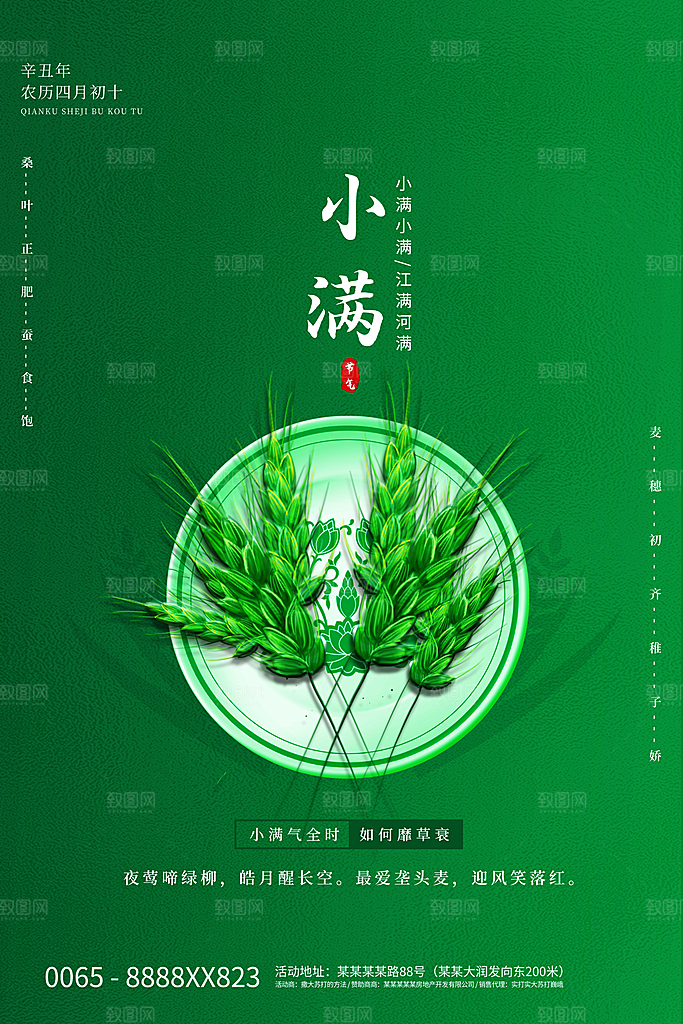 小满节气简约大气海报