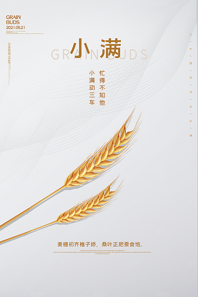 小满节气简约大气海报