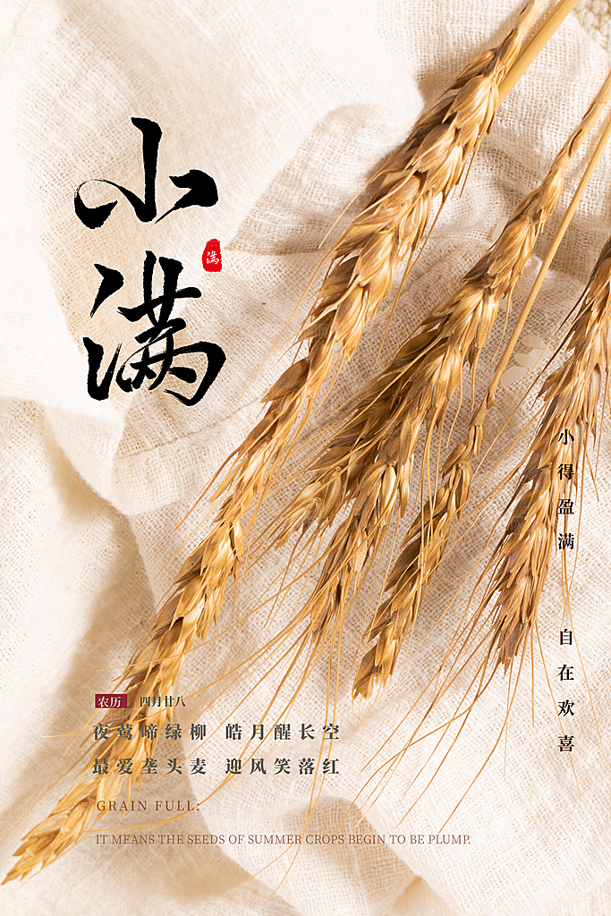 小满节气简约大气海报