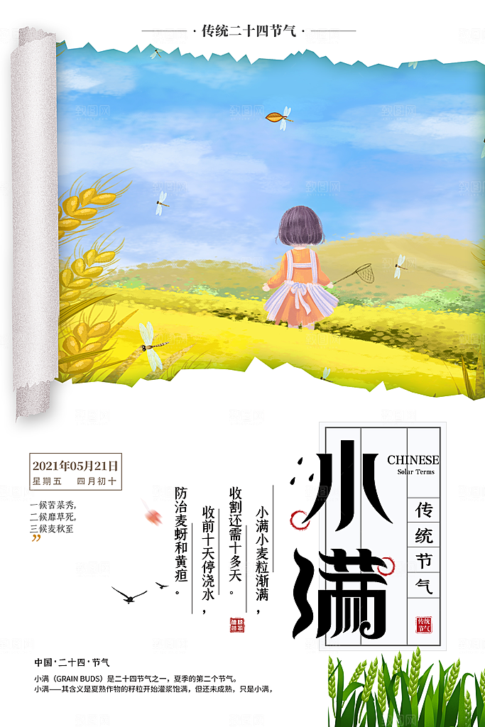 小满节气简约大气海报