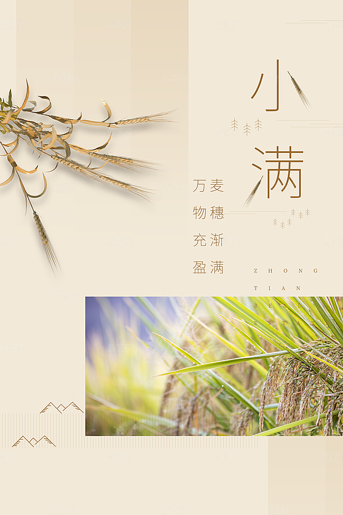 小满节气简约大气海报