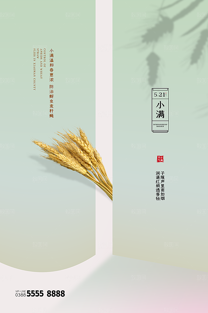 小满节气简约大气海报