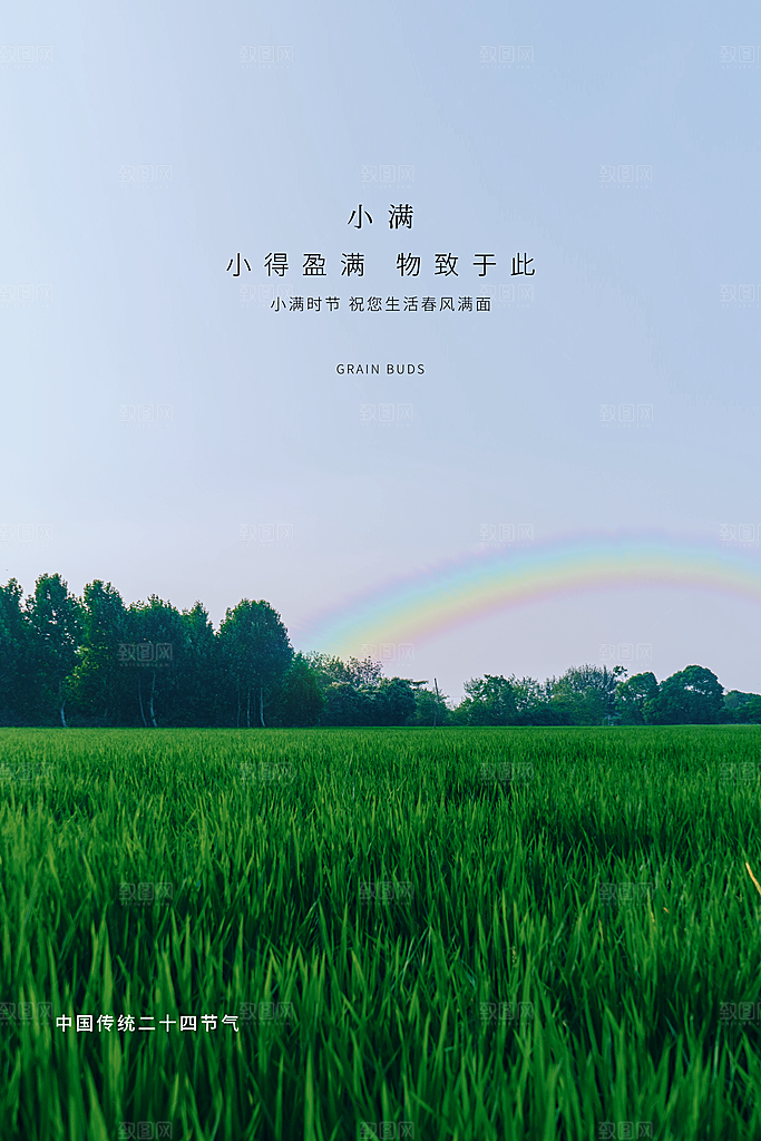 小满节气简约大气海报