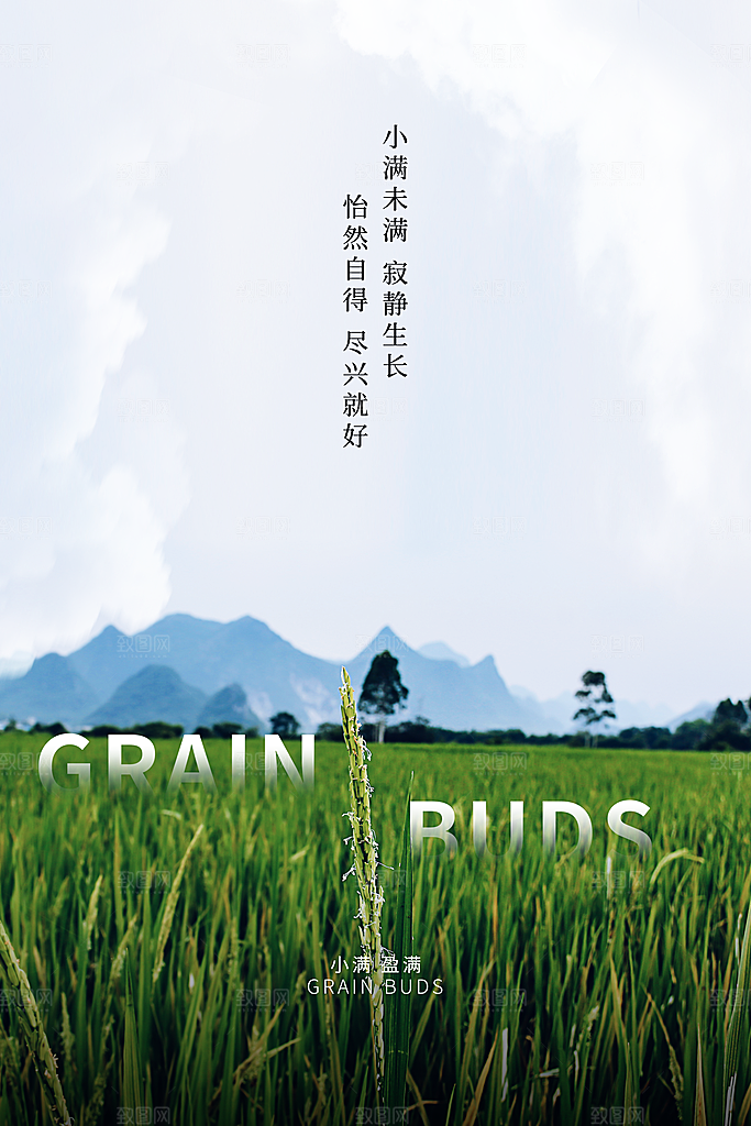小满节气简约大气海报