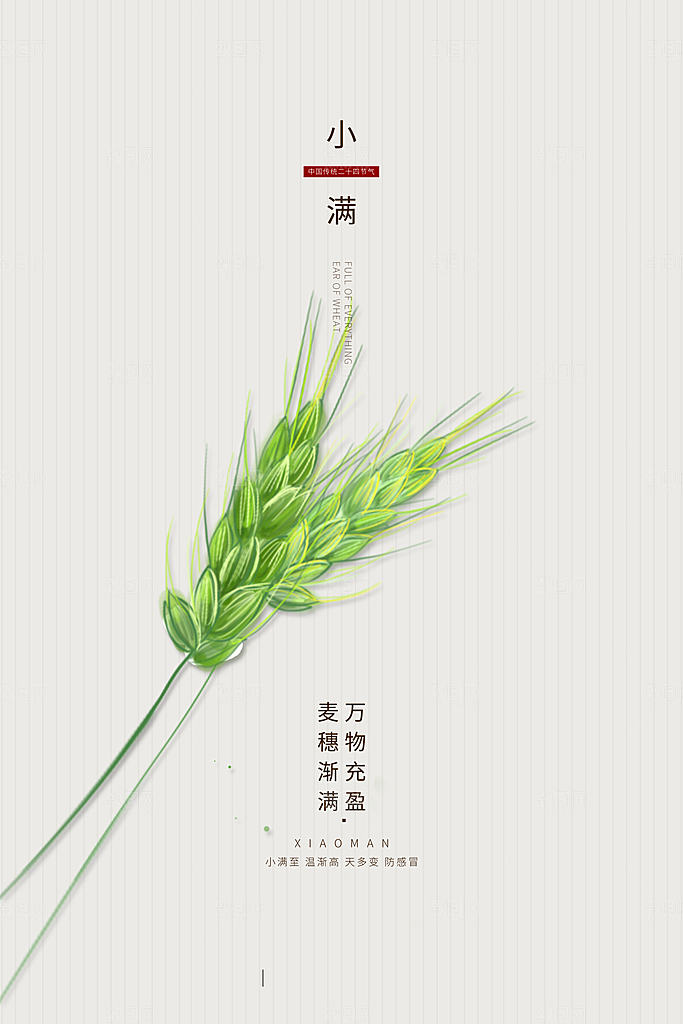 小满节气简约大气海报