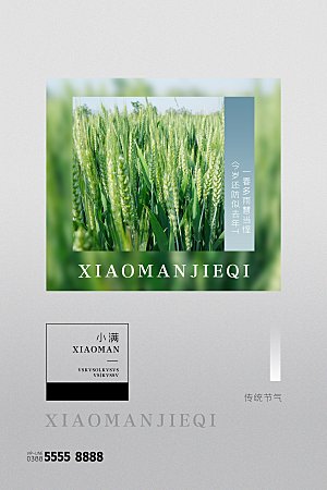 小满节气简约大气海报