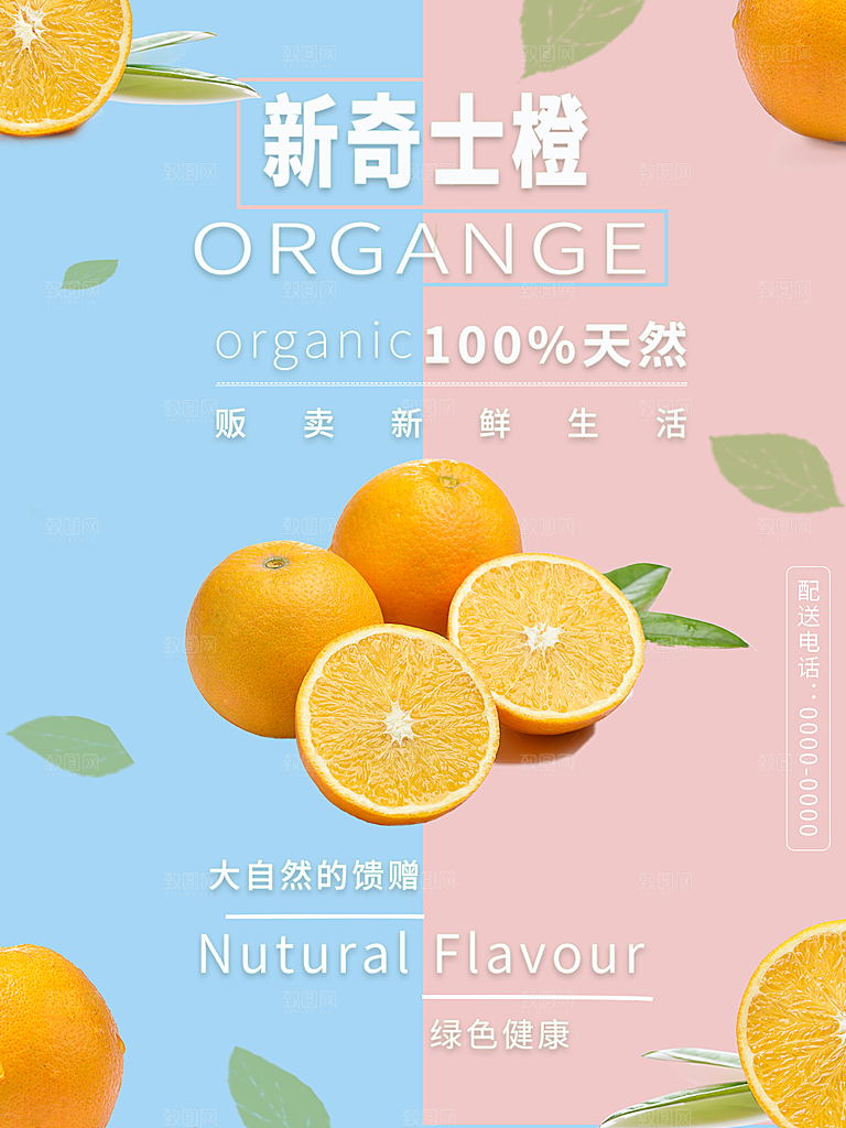 新鲜水果新奇士橙