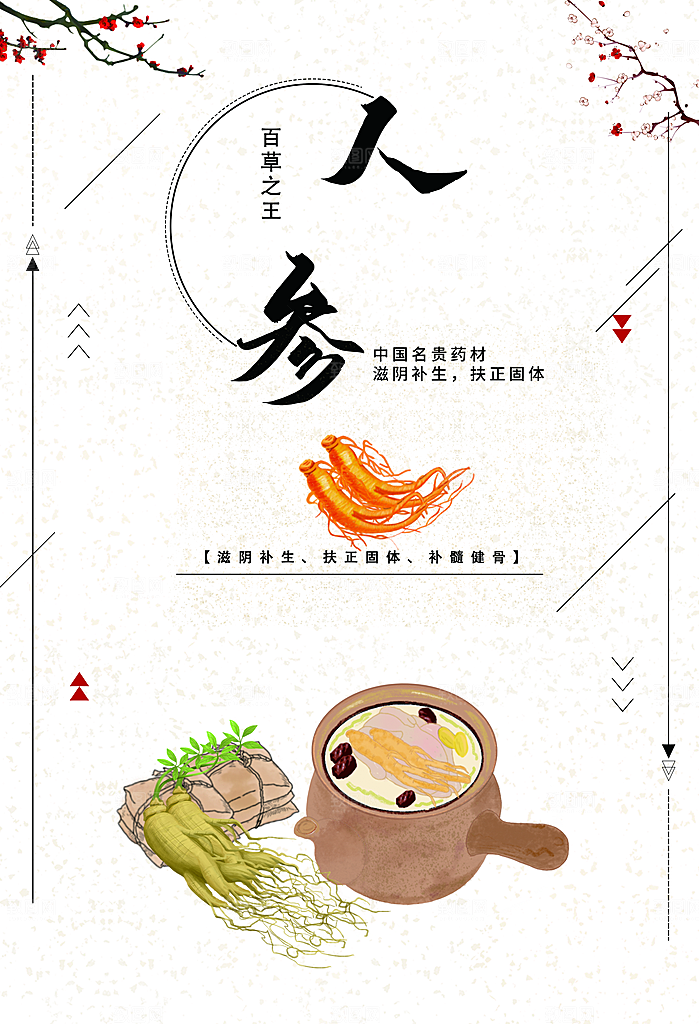 中国名贵药材人参