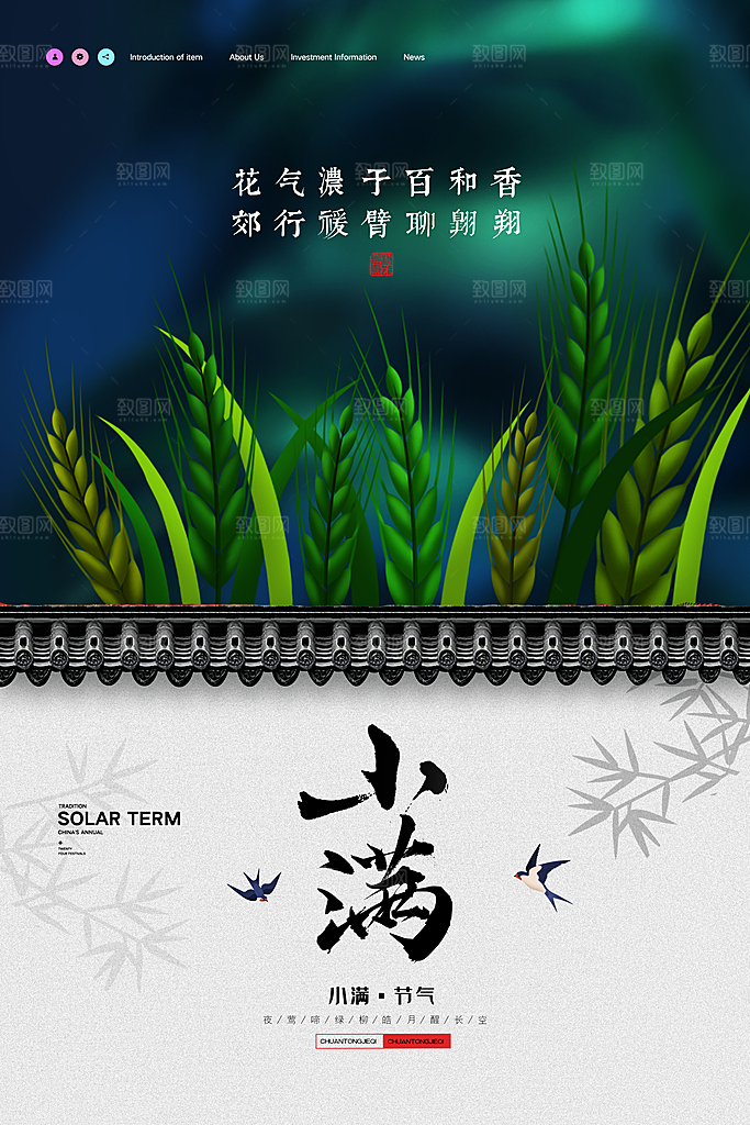 传统节气小满海报模版