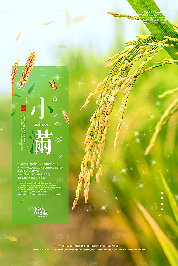 传统节气小满海报模版