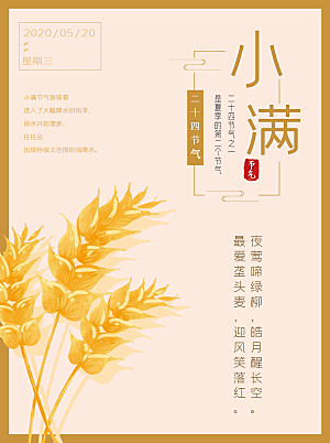传统节气小满海报模版