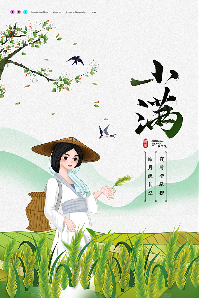 小满节气简约大气海报