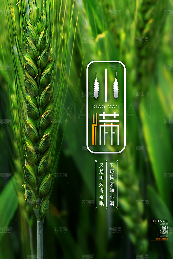 小满节气简约大气海报