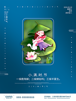 小满节气简约大气海报