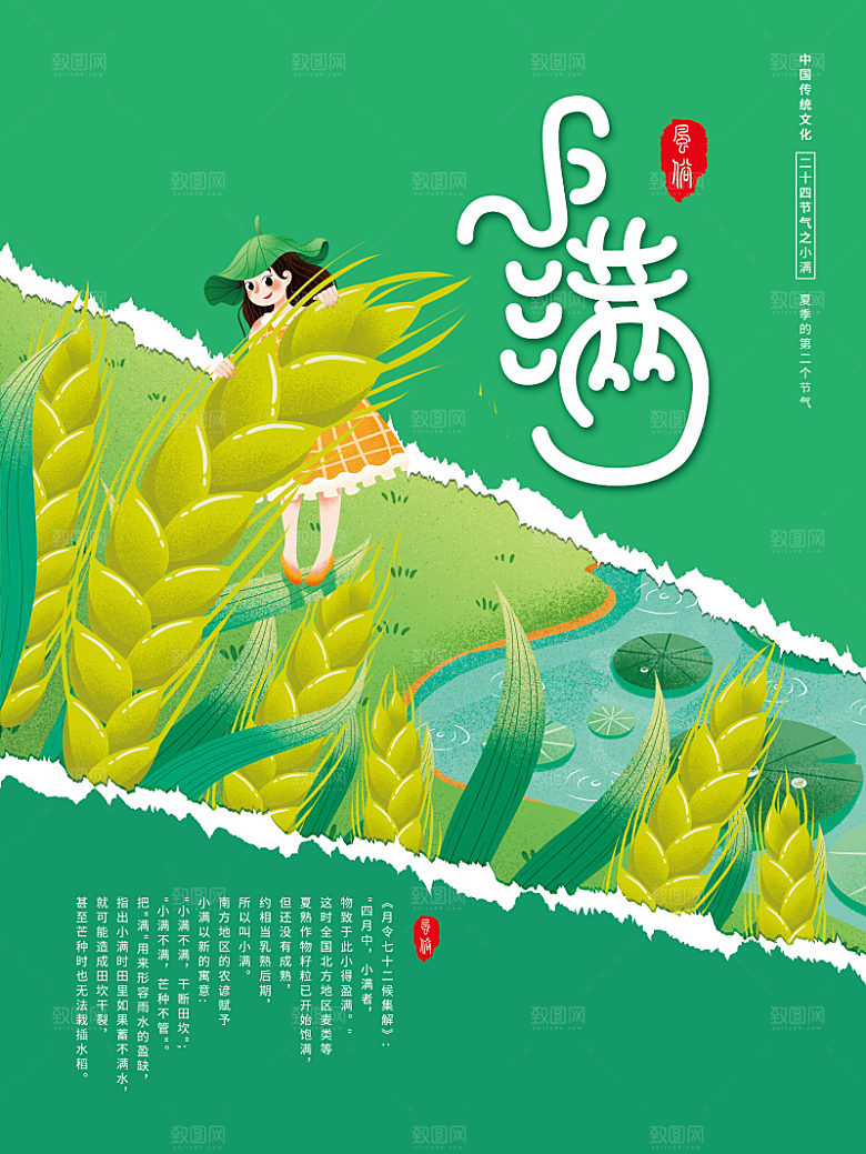 传统节气小满海报模版