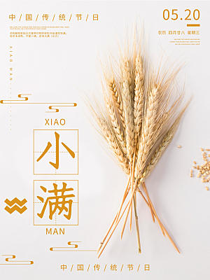 小满节气简约大气海报