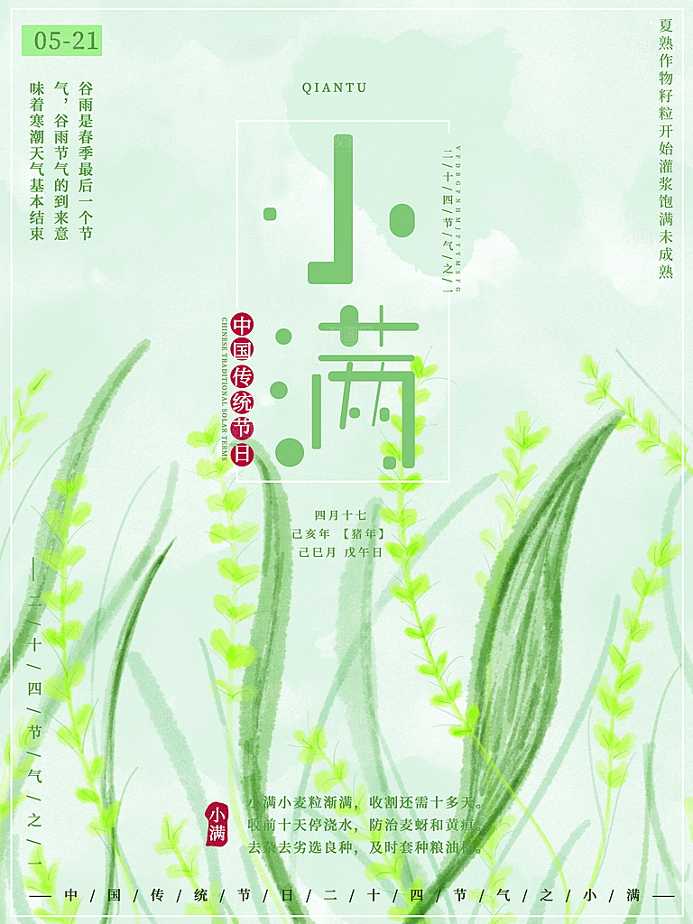 小满节气简约大气海报