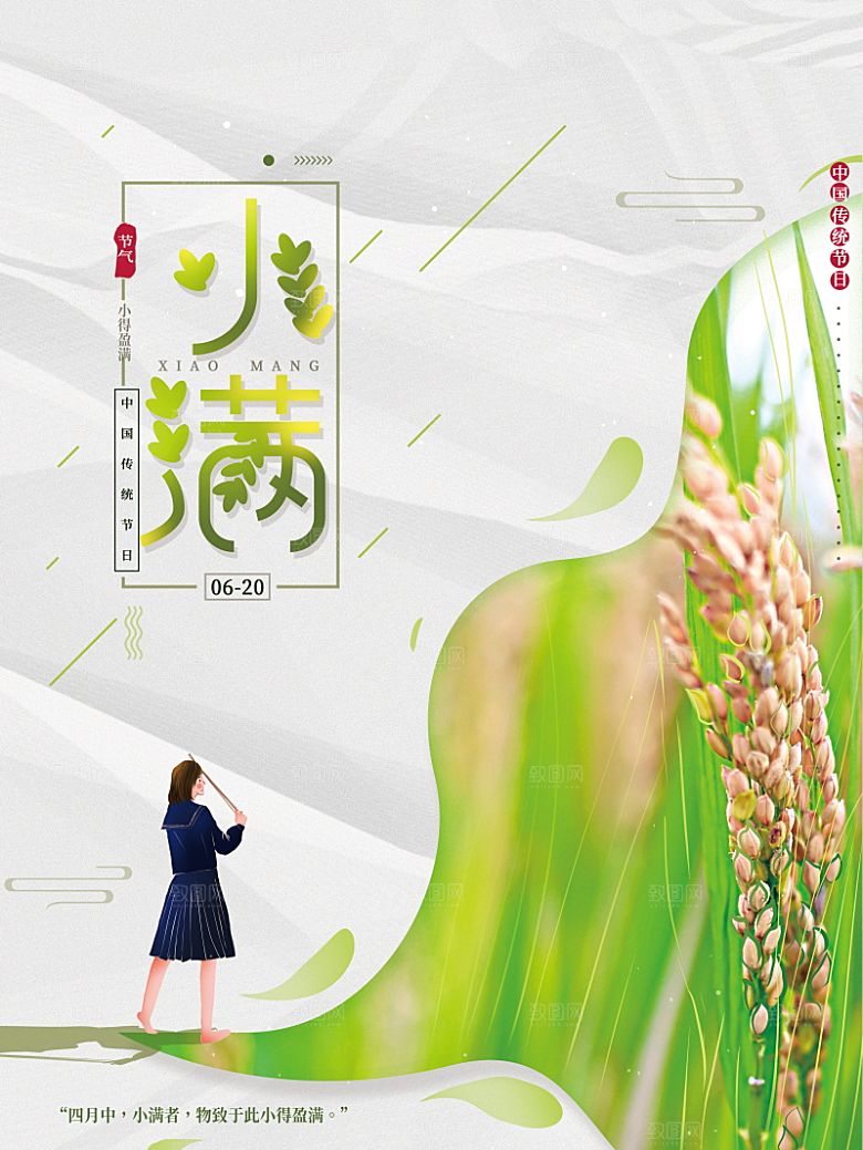 小满节气简约大气海报