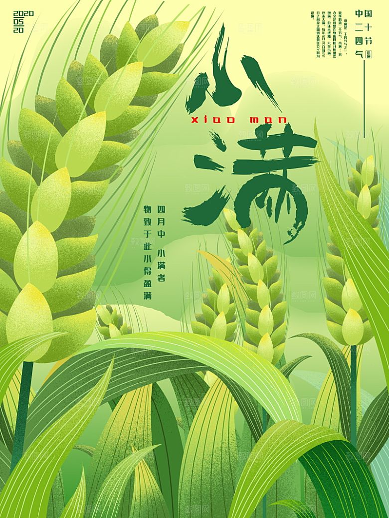 小满节气简约大气海报