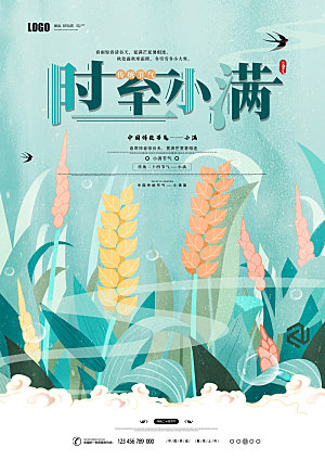小满节气简约大气海报