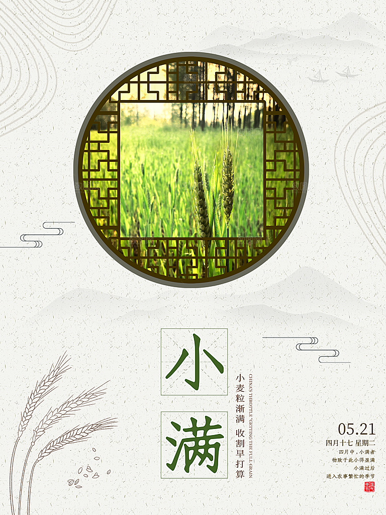 传统节气小满海报模版