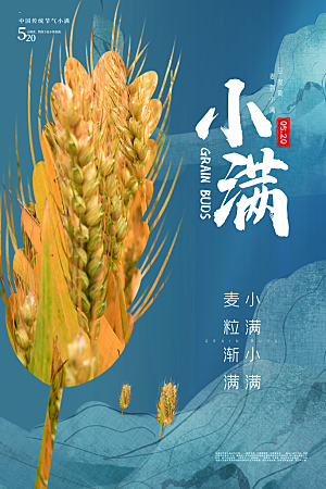 传统节气小满海报模版
