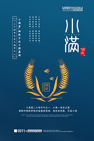 小满节气简约大气海报