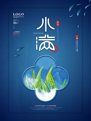 小满节气简约大气海报