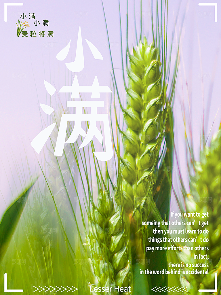 小满节气简约大气海报