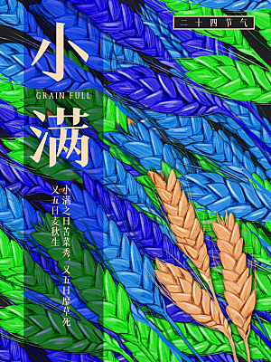 小满节气简约大气海报