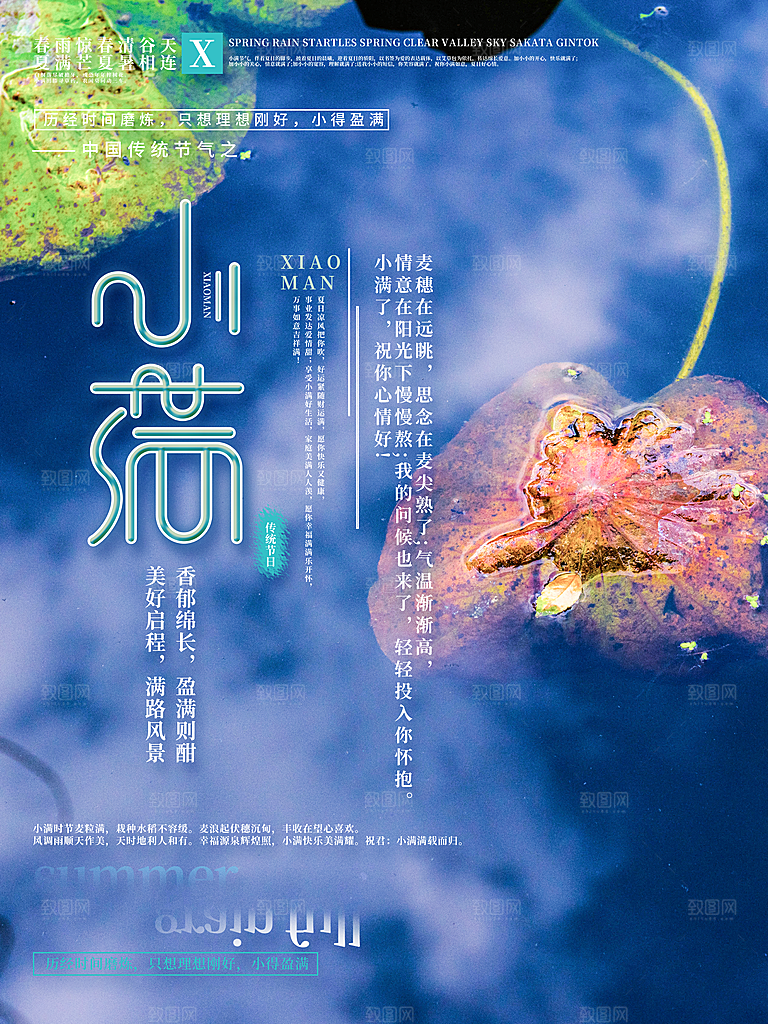 小满节气简约大气海报