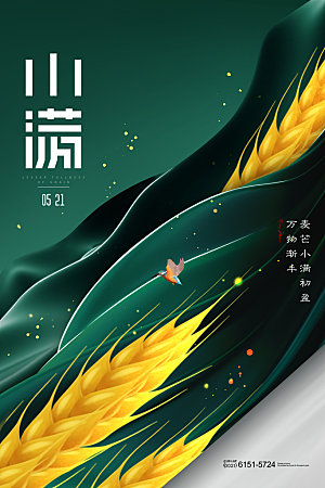 传统节气小满海报模版