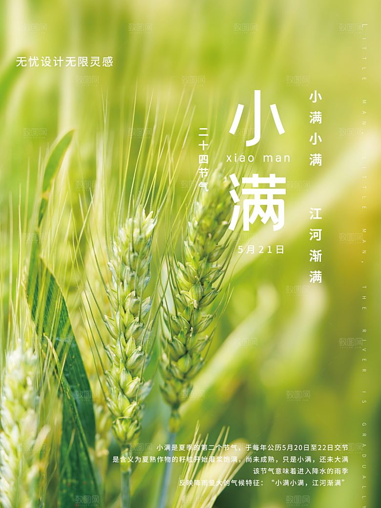 传统节气小满海报模版