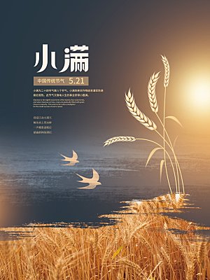 传统节气小满海报模版