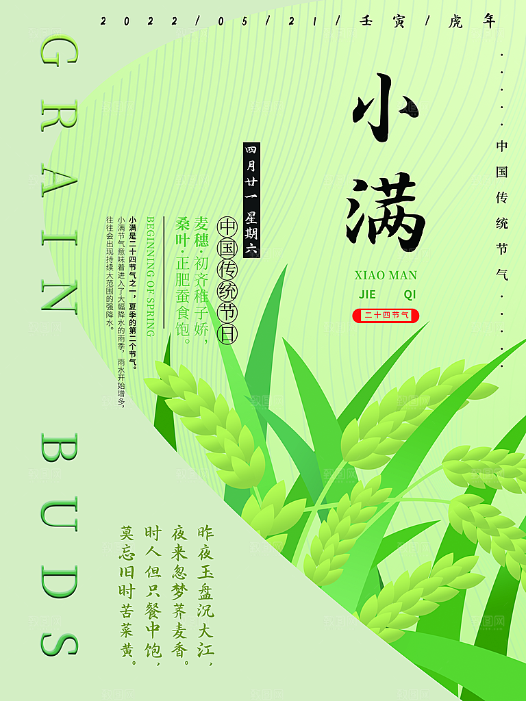 小满节气简约大气海报