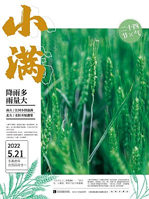 小满节气简约大气海报