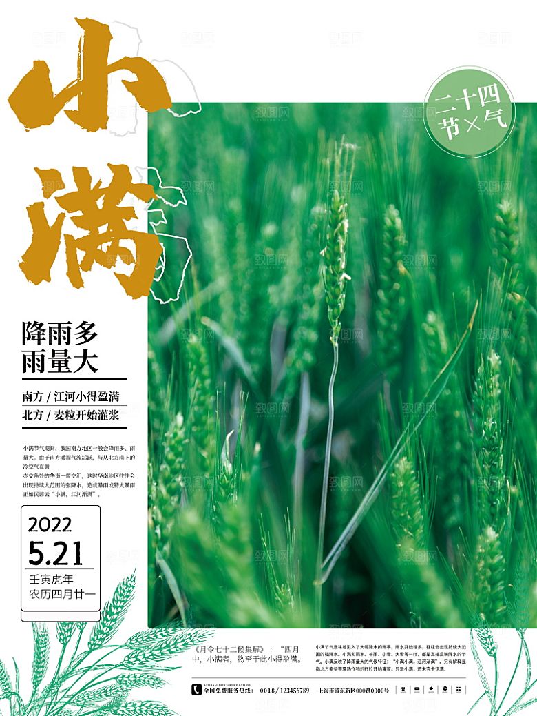 小满节气简约大气海报