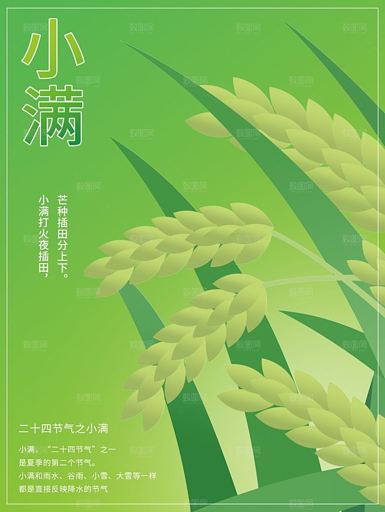 小满节气简约大气海报