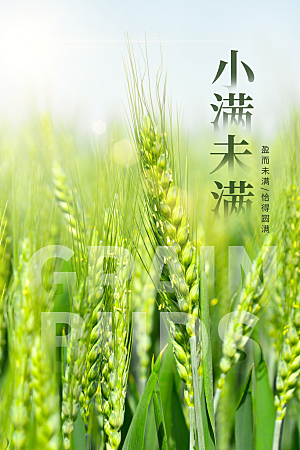 传统节气小满海报模版