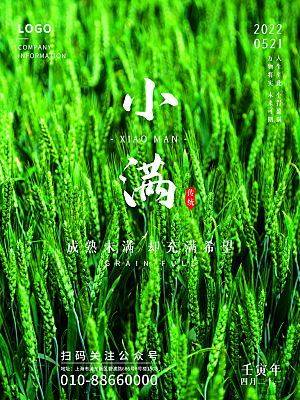 传统节气小满海报模版